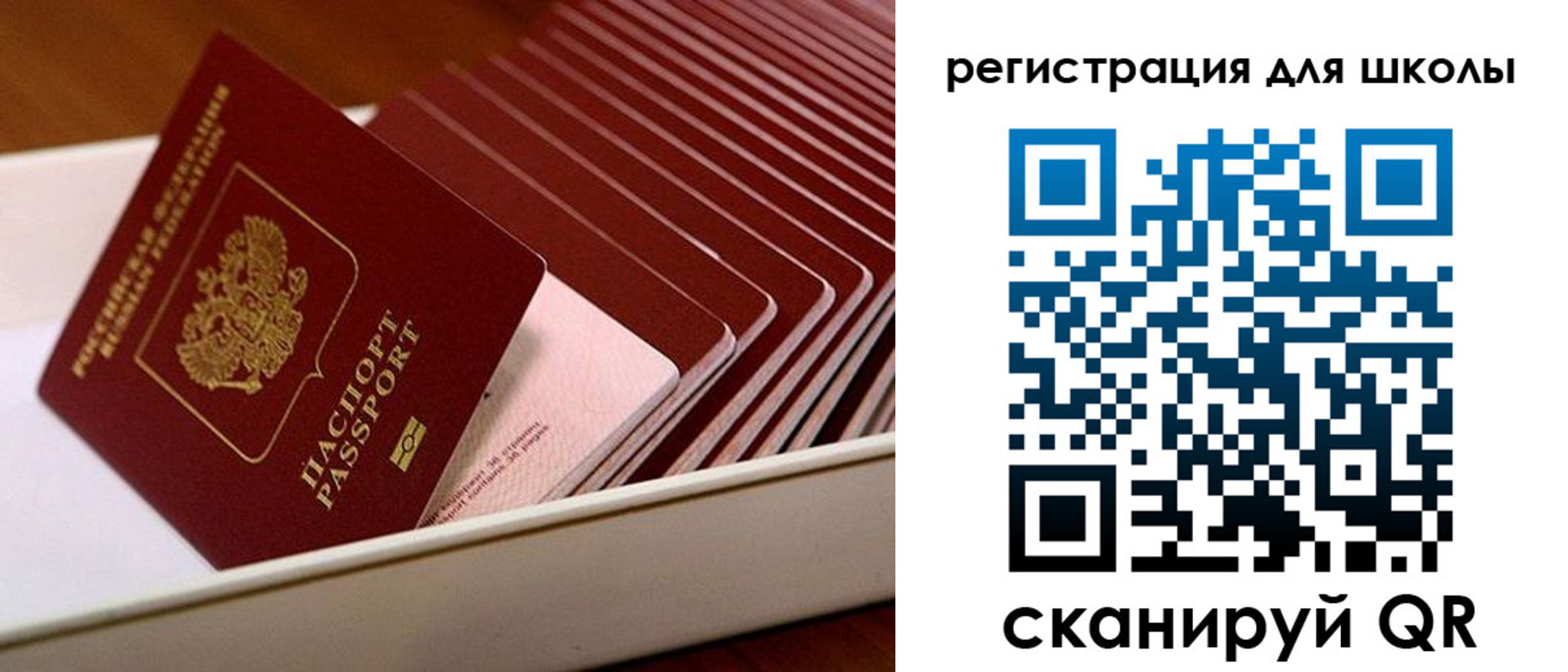 прописка гарантия в Лесном